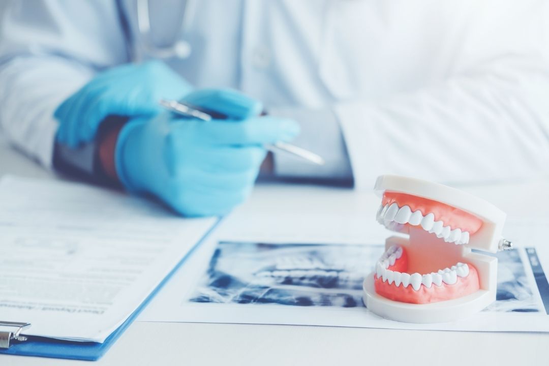 Dentist with xray and denture | Tips for maintaining oral health with dentures